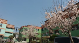 은석영재캠프학원 | 부산 기숙학원 은석학원, 대입 재수 정규반- 융합반 고등학생 동계1, 2기 방학캠프 개강