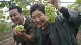 공설시장금남신집 | 영천 공설 시장 할매 소머리국밥집ㆍ김치 장인ㆍ샤인머스캣 청년 농부 만난다(고두심이 좋아서)
