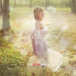 여성 싱어송라이터 펄케이 ‘Like a Bird’ 발매, 인디씬의 새로운 바람 기대