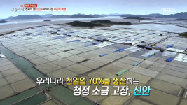 '생방송 오늘 저녁' 신안 하의도-신의도 자전거 여행, 천사의 섬 잇는 '천도천색 천리길'