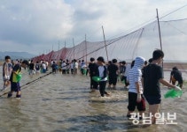 함평군 '개막이 체험행사'