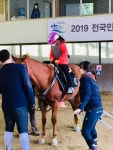 세종시교육청, 장애학생 승마체험 프로그램 운영