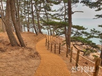 태안군, 새 관광명소 만리포 '물닭섬'이 뜬다