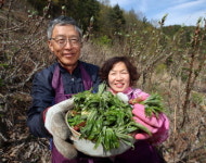 산청군산림조합(4종) | 산청군, 임업인 코로나19 극복 돕는다
