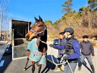 법인한성승마클럽 | 영풍영농조합 용인지점, 상주국제승마장에 마필 기증