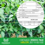 메디머스 x 신태인농협, 그린바이오 기능성 사포닌 건고추 시험성적서 확보