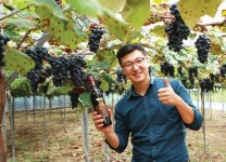 기중이네 포도(대양골농원) | 6차산업으로 탄탄히 뿌리내린 대 이은 포도농원