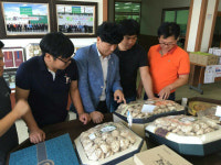 운문표고영농조합 | 장흥 표고, 동남아에서 잇단 러브콜