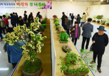 그린비화원