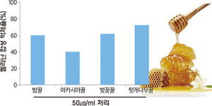 우리 벌꿀로 환절기 피부건강 챙긴다