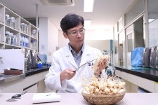 남일농장인삼영농조합법인 | 전북 최고 소득작목은 '인삼'