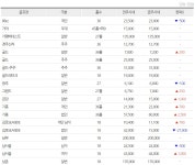 진롯데동부산금강 | '황제회원권' 남부CC 2개월만에 5억5000만원 '폭락'...중저가는 일제히 상승세