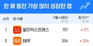 중국 알리익스프레스와 테무, 올해 한국 모바일앱 시장서 성장 속도 1·2위
