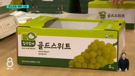 샤인머스캣에 맞선 경북 신품종 포도… 국내외 시장 공략