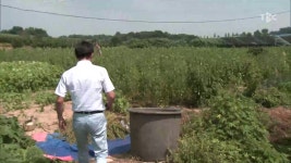 농업회사법인 경북미래나눔(주) | 경북도, 농업인 폭염 피해 예방 총력