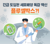 긴급 도입된 세포배양 독감 백신 플루셀박스 들어보셨나요?
