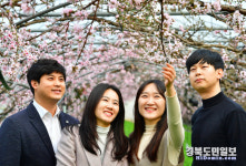 이서면 신촌리 485 | 봄 재촉하는 복사꽃