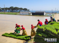 새마을식당역전우동포항해병1사단점 | 포항시, 봄철 농번기 해병1사단과 농촌일손돕기 나섰다