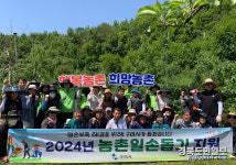 선산출장소 직원, 복숭아·사과 농가 방문…구슬땀 흘려