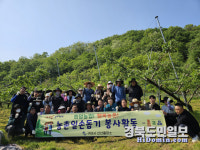 구미시 선산출장소, 복숭아 농가 일손돕기 구슬땀