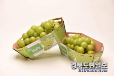 타이선우푸드마트 | 경북 농산물, 대만 유통 확대