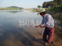 진천비단잉어전시장 | 낚시춘추, 대어 조행기 - 진천 덕산지 릴낚시에 95cm 잉어