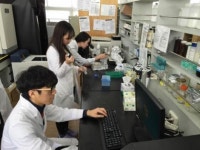 오케이(OK)감초 | 식품ㆍ의약품ㆍ화장품… 없어선 안될 '감초'