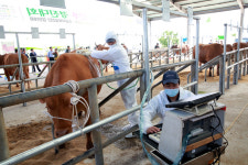 의령축협 토요애 한우직판장 | “경남 최고 한우를 찾아서~”…‘2017년 경남 한우경진대회’ 9월12일 의령서 개최