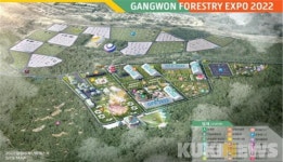 2022 강원세계산림엑스포 국제행사 승인…개최 준비 ‘탄력’