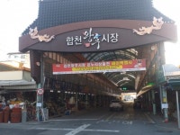 Foto aus Naver-Suchergebnissen 4