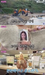(유)다영건설 | "노후대비에 제격" 우주소녀 다영이 아이돌 최초로 건설기계 브랜드 앰배서더가 됐다(워크돌)