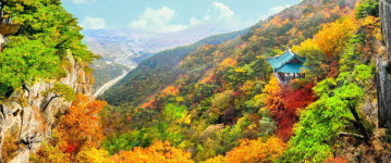 영변약산(주)-대덕테크노마트 | 붉은 단풍이 절경인 평북 영변의 '약산동대'