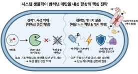 아크머시너리이앤씨 | 메탄올 내성 ‘슈퍼 균주’ 개발로 바이오 리파이너리 혁신
