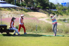 경북 영주시, 경북 파크골프의 중심이 되다
