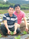 농업회사법인 임병문다원 주식회사 | 현장에서 만난 우수 농업경영인 임채문 함평군연합회장
