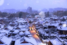 씨유 전주평화센터점 | 전주 가볼 만한 곳, 고즈넉한 풍경 속에서 찾는 평화로운 시간