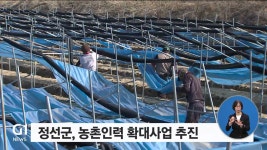 정선달인력공사 | 정선군, 농촌인력 확대 사업 추진