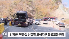 양양군, 단풍철 남설악 오색지구 특별교통관리