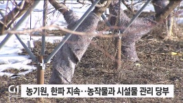 동해냉열냉,난방기 | 농기원, 한파 지속..농작물과 시설물 관리 당부