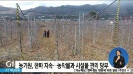 동해냉열냉,난방기 | 농기원, 한파 지속..농작물과 시설물 관리 당부