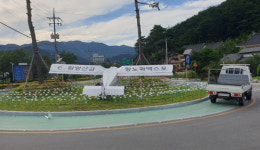 지곡카센타.야생산삼유통 | 산삼엑스포 앞둔 함양 지곡면 명물 경비행기