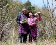 산청군산림조합(4종) | 산청군 "임업경영체 신청하세요"