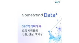 홍림컴퍼니 에이전시 | 바이브컴퍼니, HSAD 브랜드 에이전트에 썸트렌드 데이터 지원