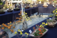 차행법숙우회정엽당 | 가을 문화 담은 '기장국제차문화축제' 성료