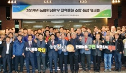 농협 안심한우, 산지조달비율 50%까지 늘린다