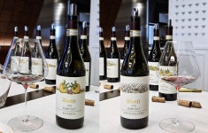 '예술과 크뤼의 선구자, 바롤로의 품격' 비에띠(Vietti), 수출 총괄 이사 우르스 베터와 특별 기자간담회 개최
