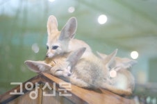 배다골테마파크에서 하루는 너~무 짧아