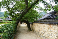 평창펫피아협동조합 | 혼자의 숲이 아닌 '행복한 사람의 숲' 꿈꿉니다