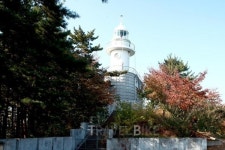커플끼리 가면 좋은 겨울나라 속초 고성 여행과 맛집