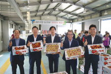 청도·산서농협, 청도복숭아 출하…공판장 동시개장